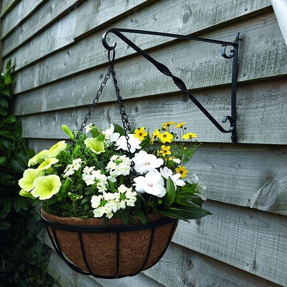 Garden Grow Hanging basket wall bracket  25cm x 36cm