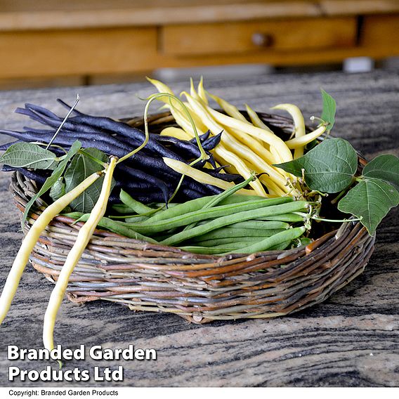 Suttons Lucky Dip Pea & Bean Seeds