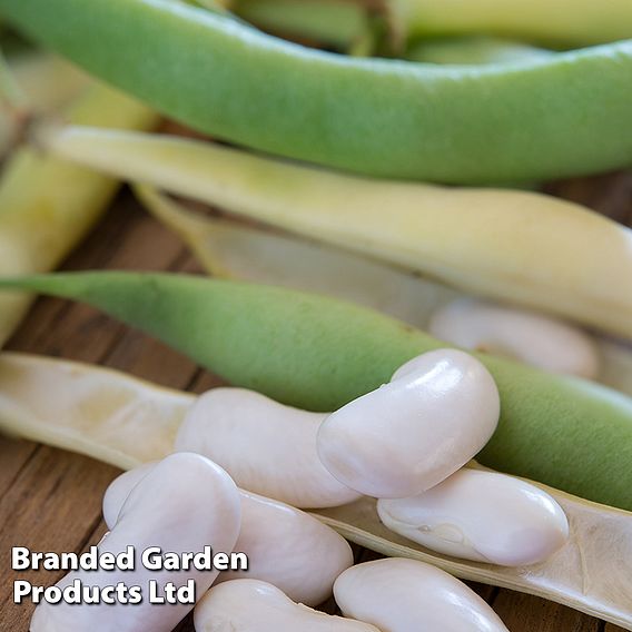 Suttons Lucky Dip Pea & Bean Seeds