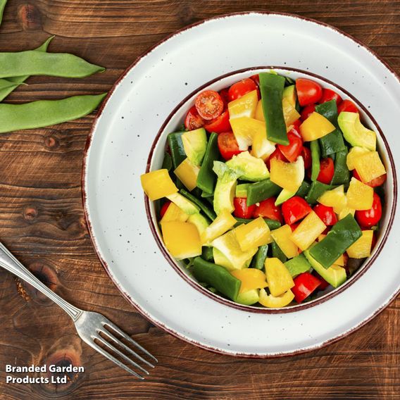 Runner Bean Super Trio - Gourmet Veg Seeds