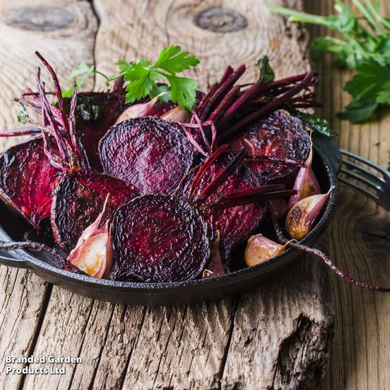 Beetroot 'Detroit 2' - Organic Seeds