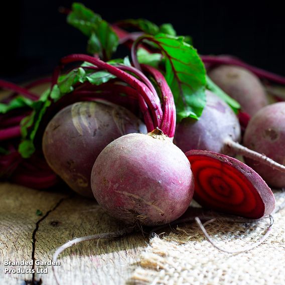 Beetroot 'Detroit 2' - Organic Seeds