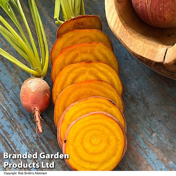 Beetroot 'Golden Eye' - Seeds