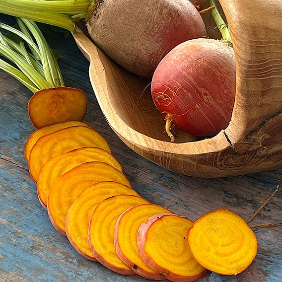 Beetroot 'Golden Eye' - Seeds