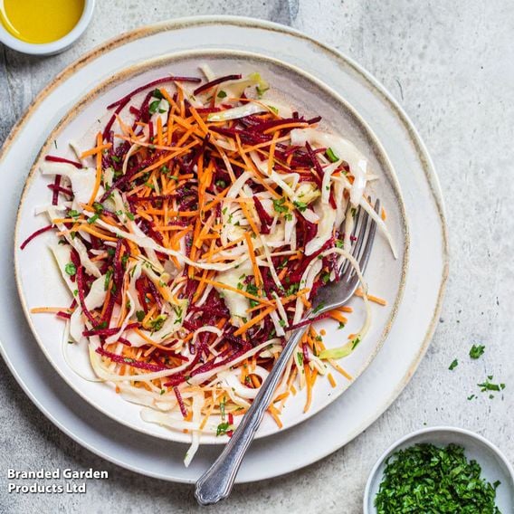 Beetroot 'Rainbow Mix' - Gourmet Veg Seeds