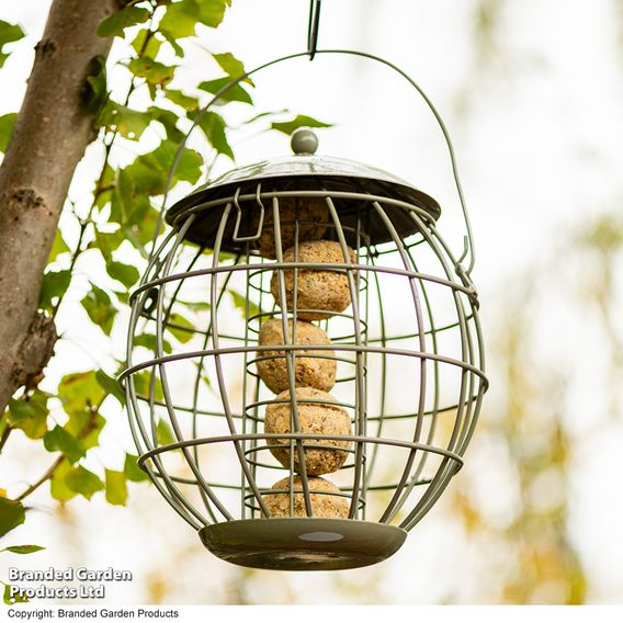 Happy Beaks - Orbital Squirrel Proof Fat Ball Feeder
