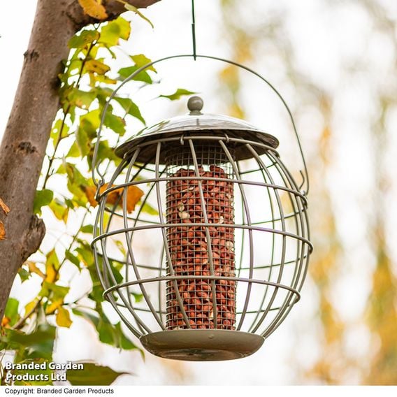 Happy Beaks - Orbital Squirrel Proof Feeder Collection