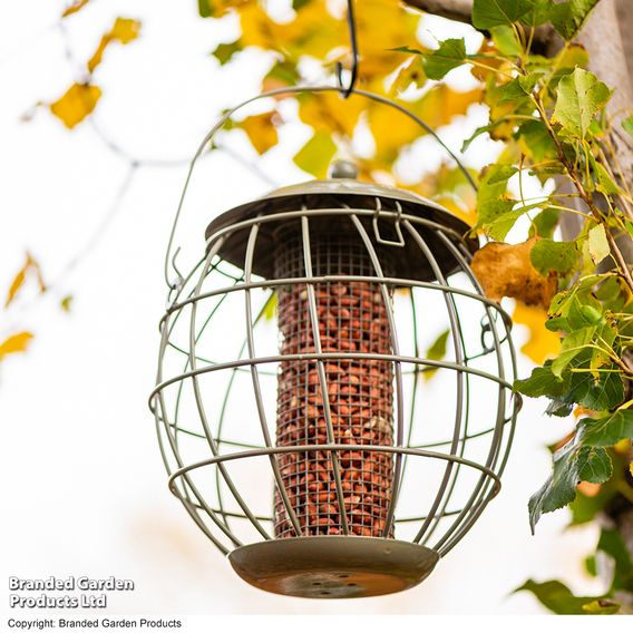 Happy Beaks - Orbital Squirrel Proof Peanut Feeder