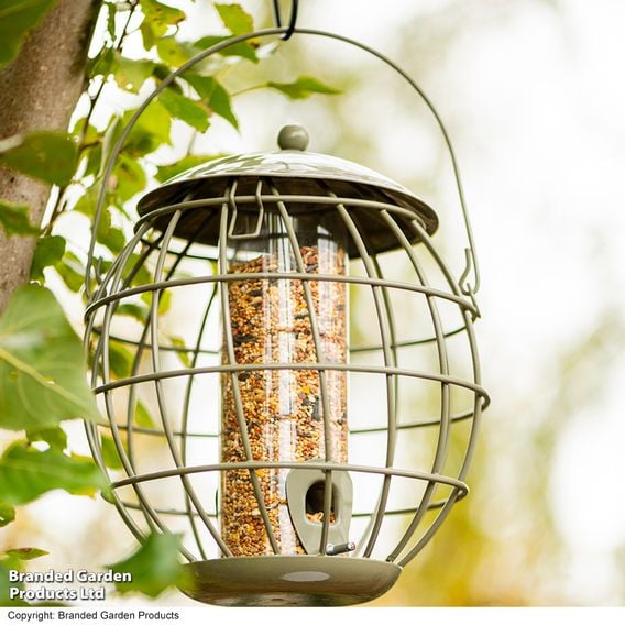 Happy Beaks - Orbital Squirrel Proof Feeder Collection