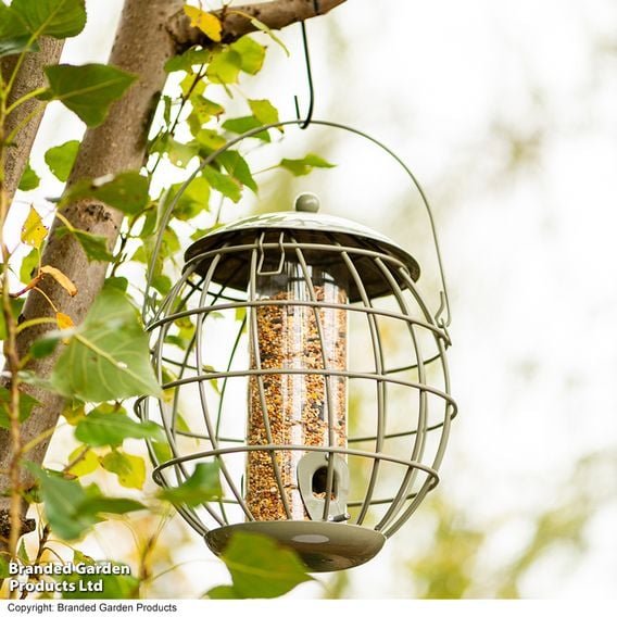 Happy Beaks - Orbital Squirrel Proof Seed Feeder