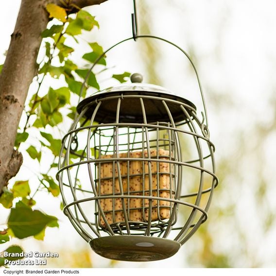 Happy Beaks - Orbital Squirrel Proof Suet Feeder