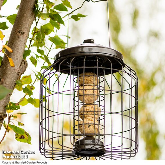 Happy Beaks - Heavy Duty Squirrel Proof Fat Ball Feeder