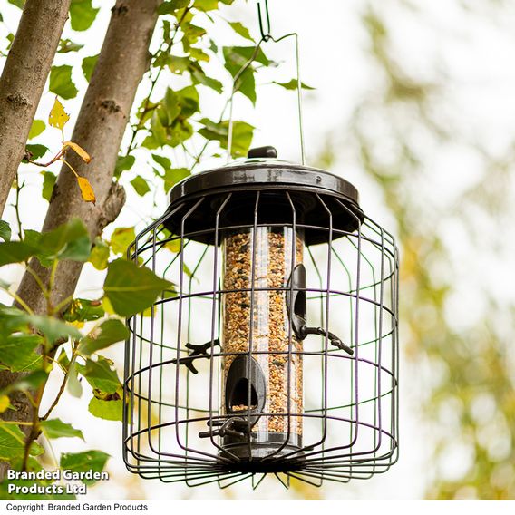 Happy Beaks - Heavy Duty Squirrel Proof Seed Feeder
