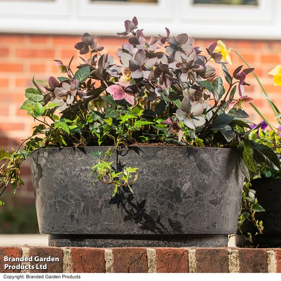 Caesar Marble Effect Charcoal Bowl Planters