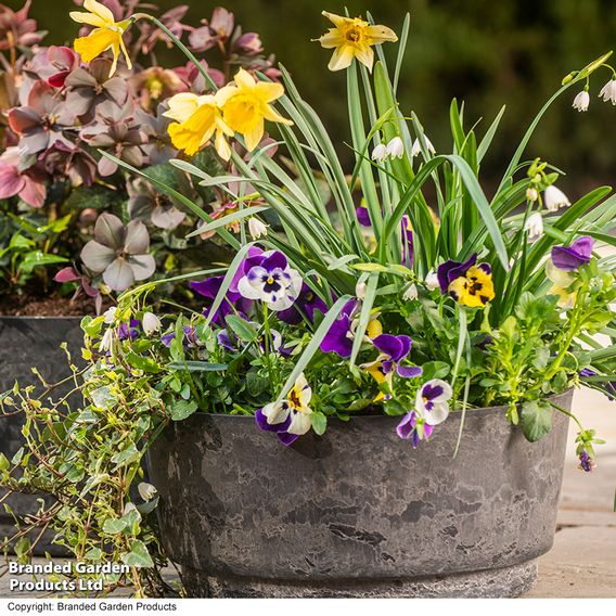 Caesar Marble Effect Charcoal Bowl Planters