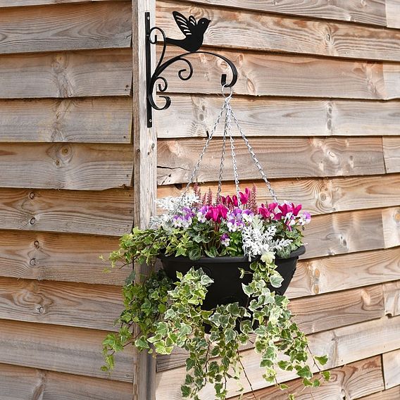 King Swallow Garden Bracket