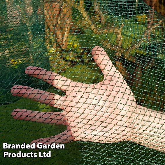 No Frills Cage 20mm Bird Net