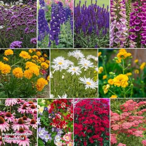 Perfect Perennial Collection