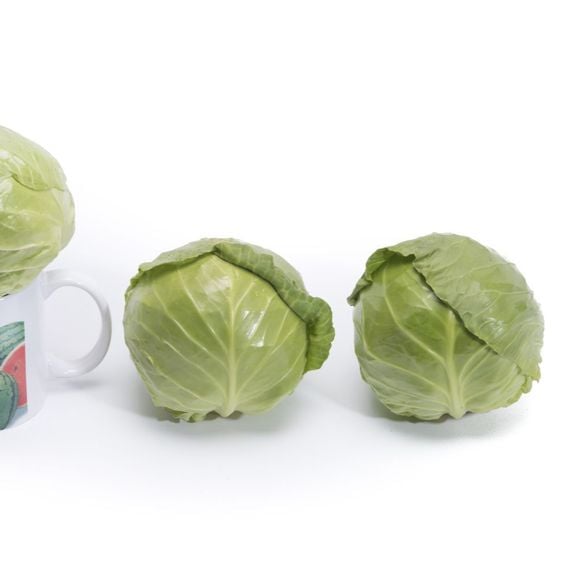 Cabbage 'Prestar' F1 - Seeds