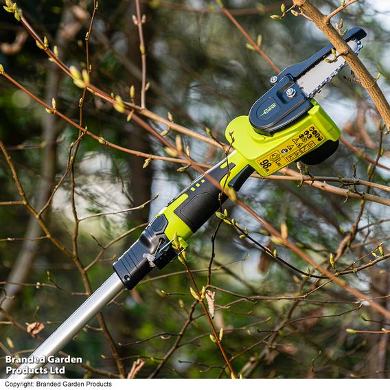 Garden Gear 12V 2-IN-1 Telescopic Chainsaw