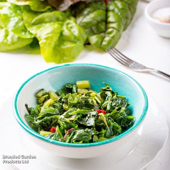 Chard 'Peppermint' - Gourmet Veg Seeds