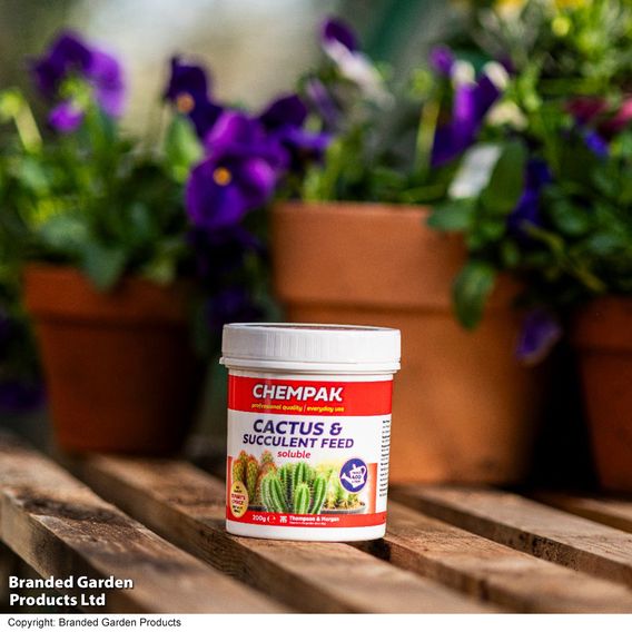 Chempak® Cactus and Succulent Fertiliser