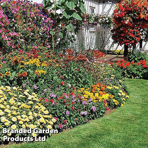 Nurseryman’s Choice Summer Favourites