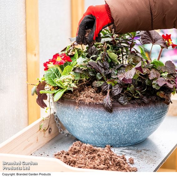 INCREDiPeatFree Premium Hanging Basket Compost