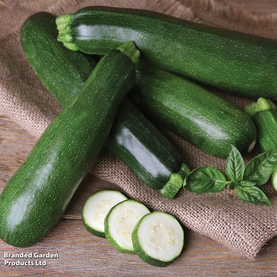 Courgette 'Black Beauty' - Organic Seeds