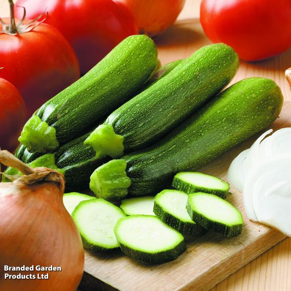 Courgette F1 'Defender' - Seeds