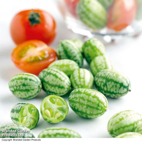 Cucamelon - Gourmet Veg Seeds