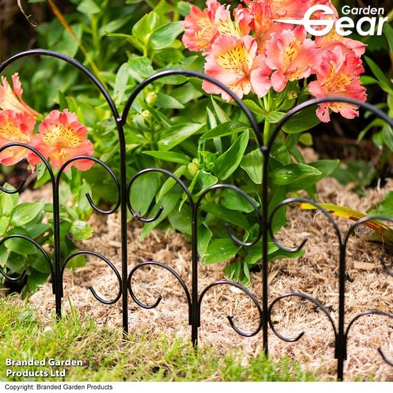 Garden Gear - Alderley Metal Scalloped Border