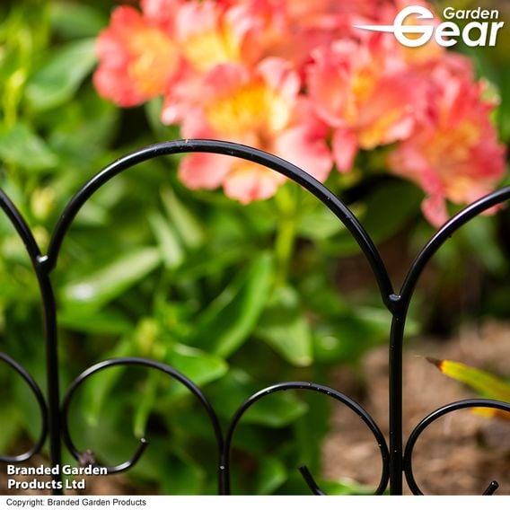 Garden Gear - Alderley Metal Scalloped Border