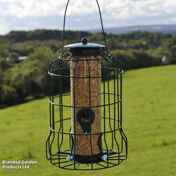 Caged Seed Feeder