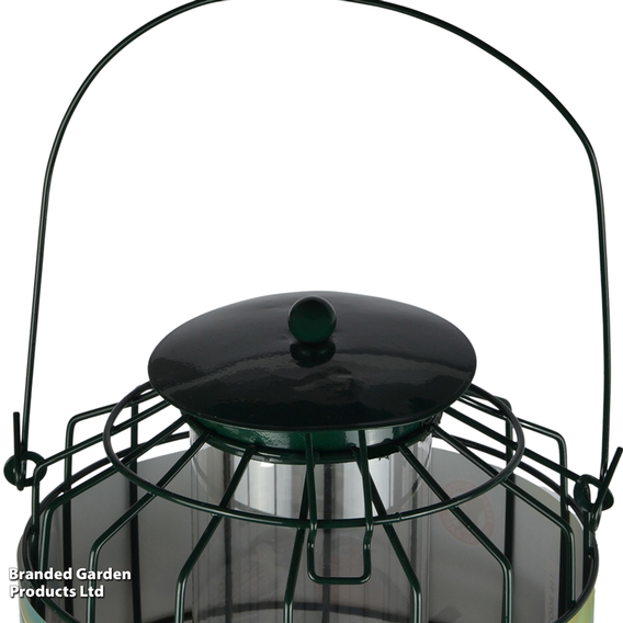 Caged Seed Feeder
