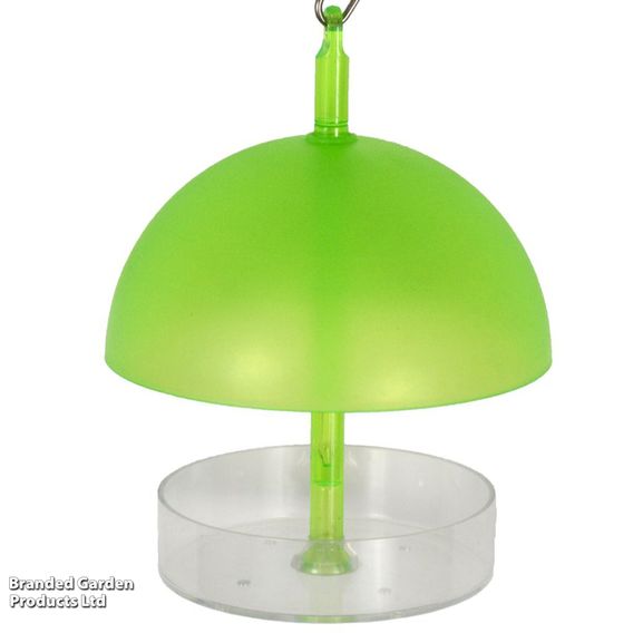 Robin & Small Bird Dome Feeder