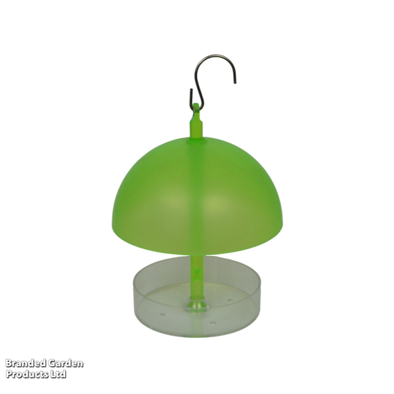 Robin & Small Bird Dome Feeder