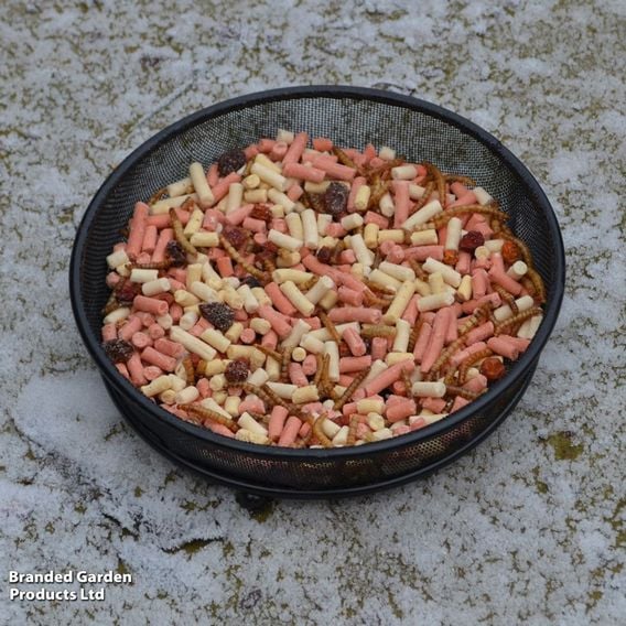 Ground Feeder Table