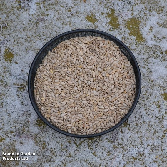 Ground Feeder Table