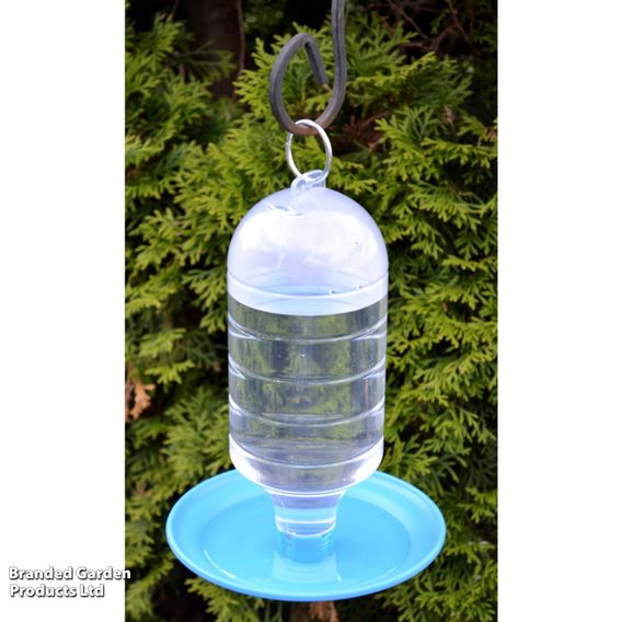 Wild Bird Water Drinker