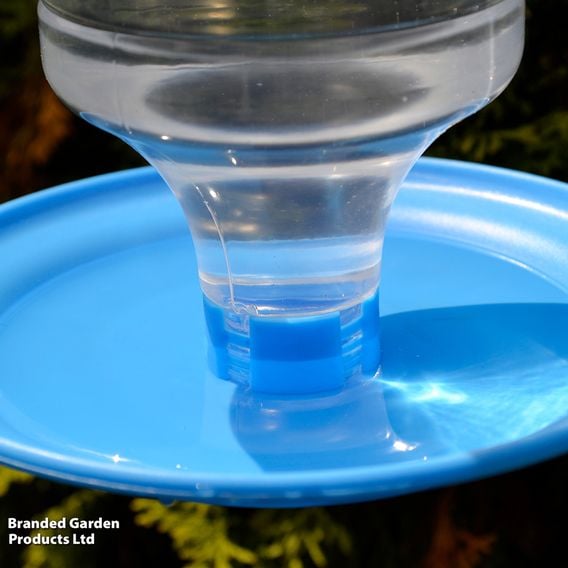 Wild Bird Water Drinker