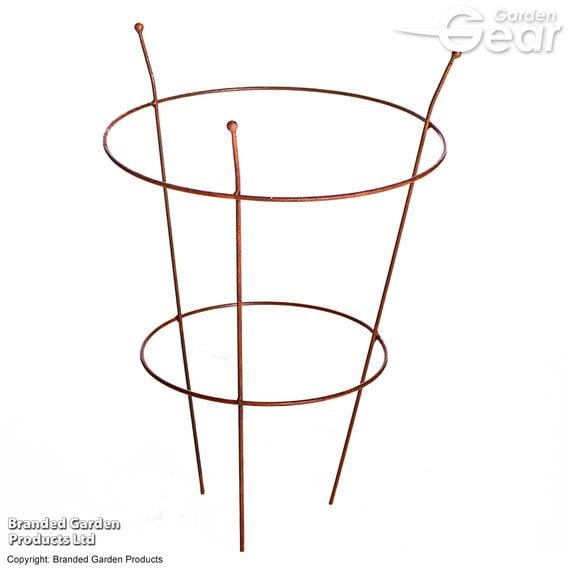 Garden Gear - Rust Effect Peony Plant Frame