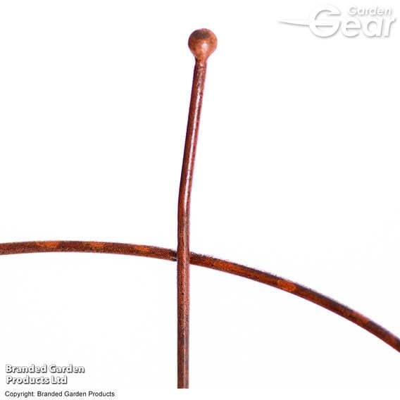 Garden Gear - Rust Effect Peony Plant Frame