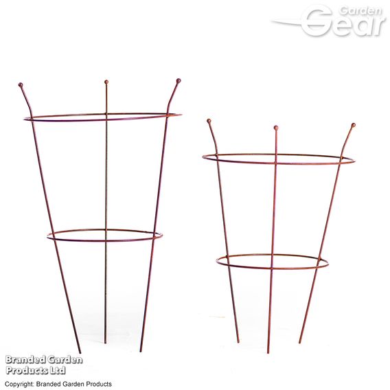 Garden Gear - Rust Effect Peony Plant Frame