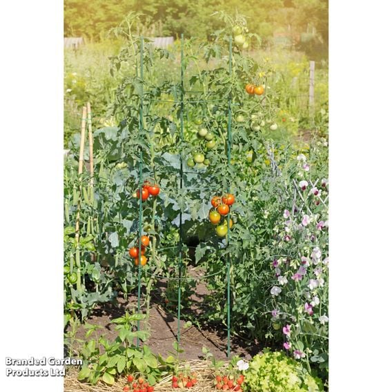Garden Gear - Circular Tomato Support Frame