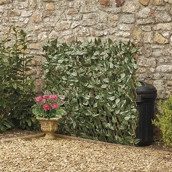 Expandable Artificial Ivy Hedge Trellis