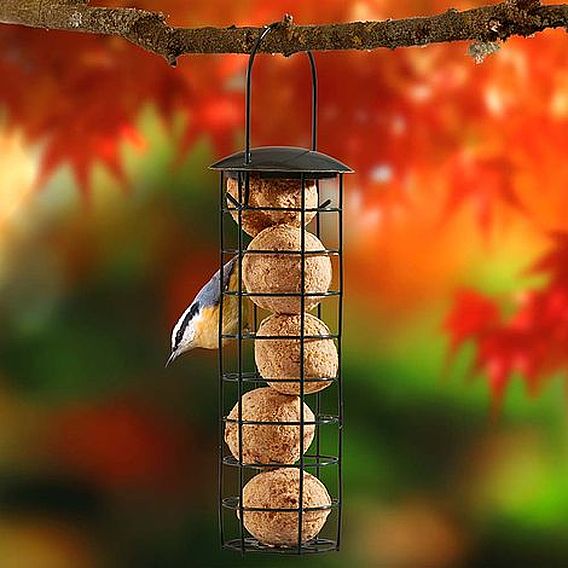 Supa - Suet Fat Ball Feeder