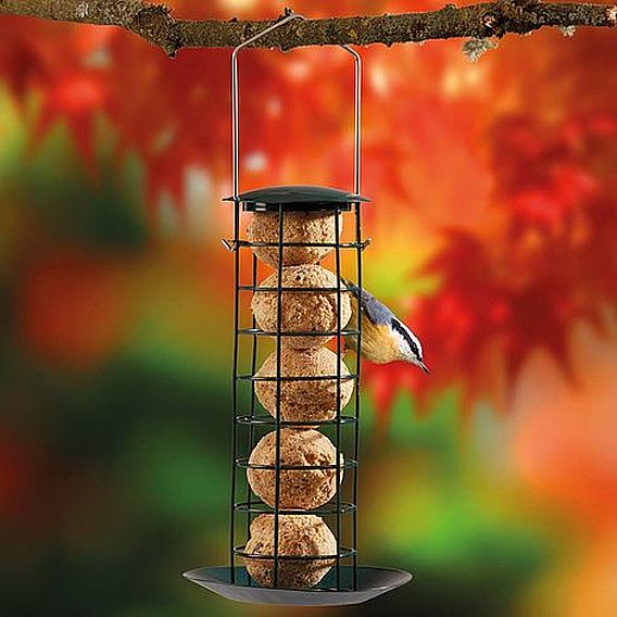 Supa - Suet Fat Ball Feeder
