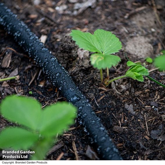 Garden Gear - Soaker Hose