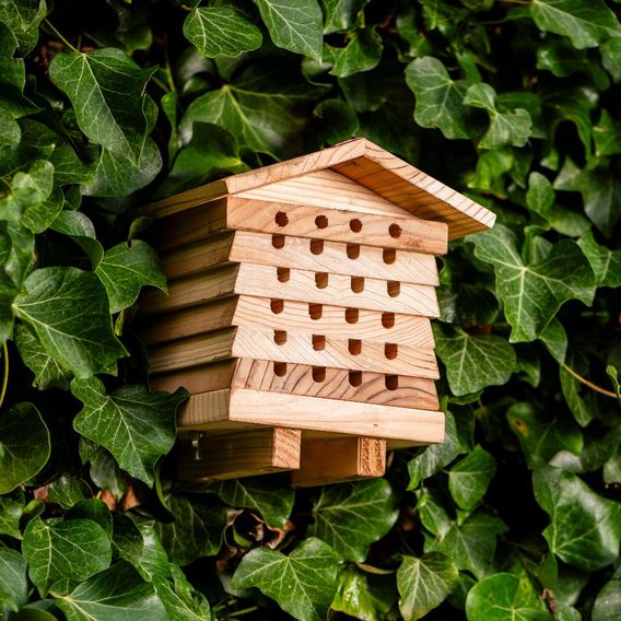 Garden Gear - Wooden Bee Hive Hotel